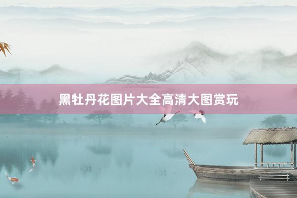 黑牡丹花图片大全高清大图赏玩
