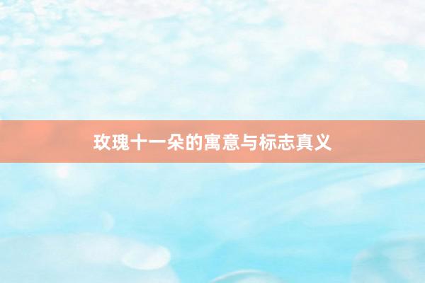 玫瑰十一朵的寓意与标志真义