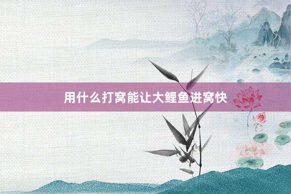 用什么打窝能让大鲤鱼进窝快