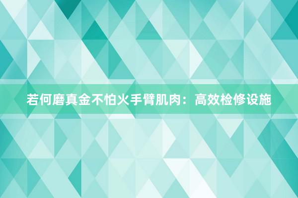 若何磨真金不怕火手臂肌肉：高效检修设施